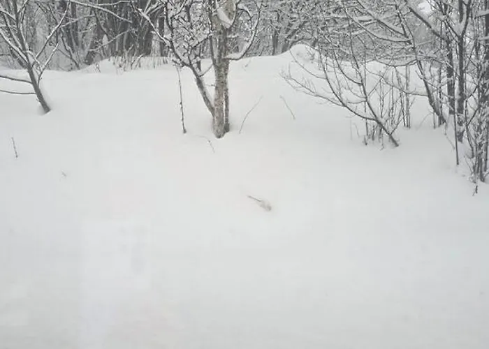 Arctic Nine - Nr 3 - On The Island * Tromsø